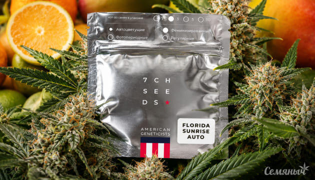 Новый бонусный сорт - Florida Sunrise Auto