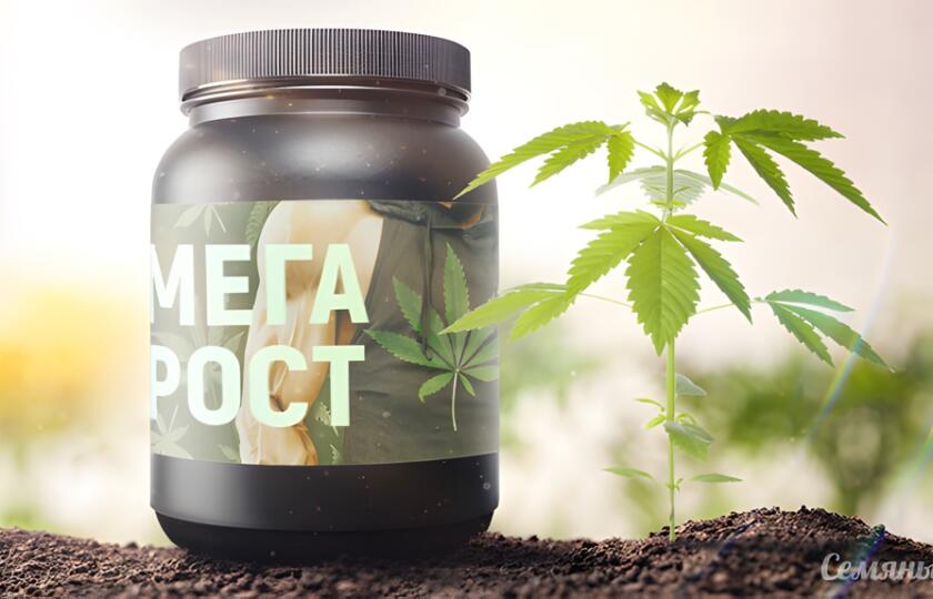 Удобрения для конопли